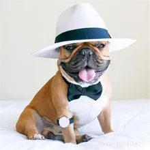 5D Diy Diamond Painting Cross Stitch Dog In Hat & Watch Needlework 3D Diamond Embroidery Full Round Mosaic Decoration Resin Kits 5D Diy Diamond Painting Cross Stitch Dog In Hat & Watch Needlework 3D Diamond Embroidery Full Round Mosaic Decoration Resin Kits