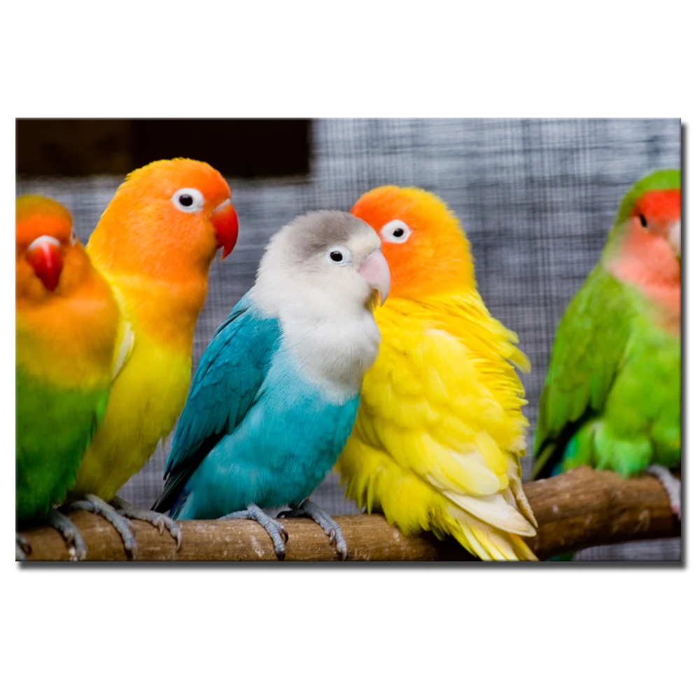 1 Pcs Colorful HD Kanvas Cetak Lukisan Lucu Burung Parrot Gambar