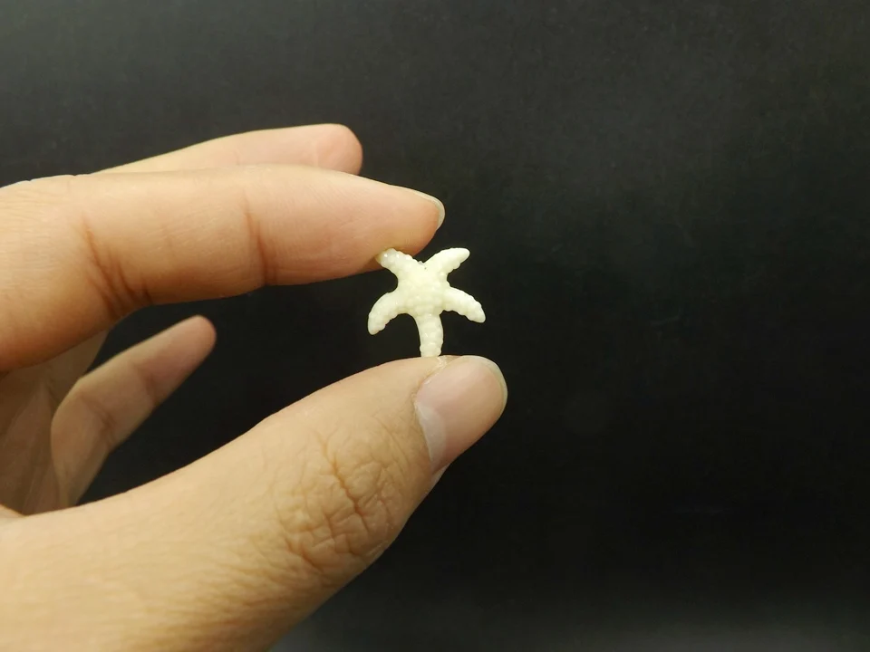 Tiny-A115Starfish (1)
