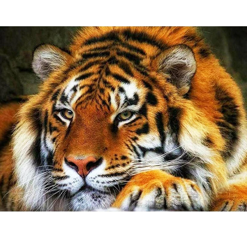 

100% Full 5D Diy Daimond Embroidery cross stitch "Siberian Tiger" 3D Diamond Mosaic Round Rhinestones Diamant Painting Animal