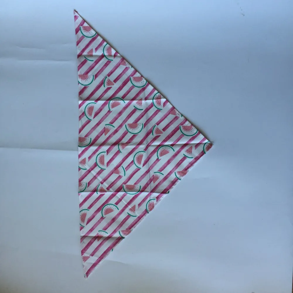 IMG_4350