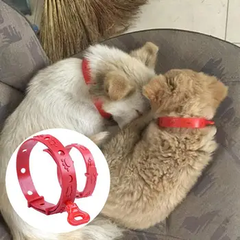 

Cat Anti Flea Tick Collar No Flea Grooming Tool Neck Strap Pet Collar