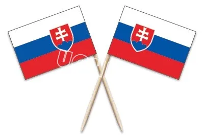 

Mini Slovakia Toothpick Flag 500Pcs Paper Food Picks Dinner Cake Toothpicks Cupcake Toppers Decoration Fruit Cocktail Sticks