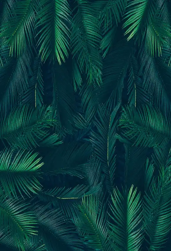 mehofoto jungle leaves tropical party theme birthday backdrop decoration photographic background photo backdrop for photography party theme background
