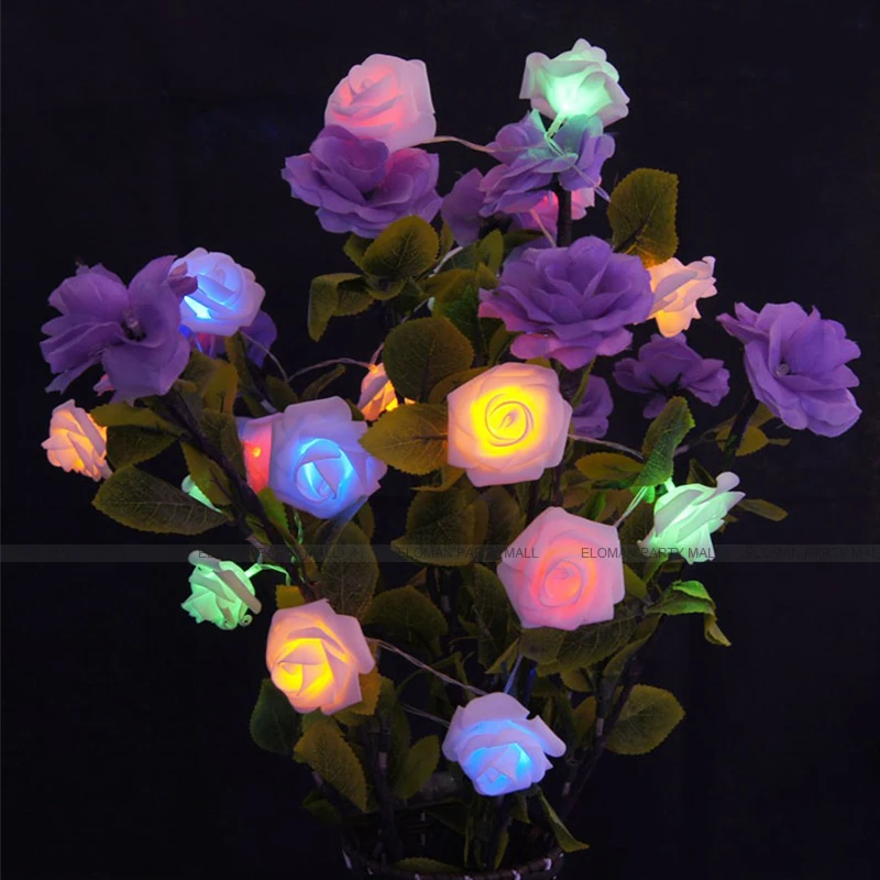 17