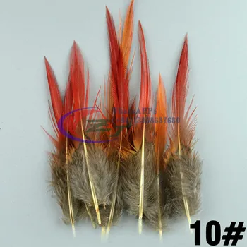 

Wholesale 50 pcs Beautiful 10-15 CM Pheasant Feathers Red FeathersRare Sword Feather Fly Tying Material Accessories