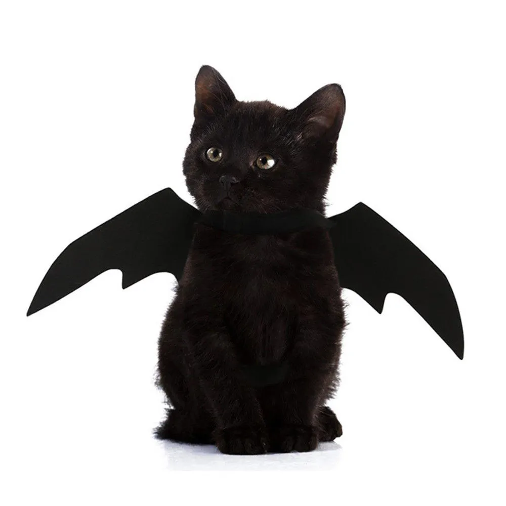 

Creative Animal Pet Dog Cat Decoration Wings Festival Clothes Bat Vampire Halloween Fancy Dress Costume Outfit Wings