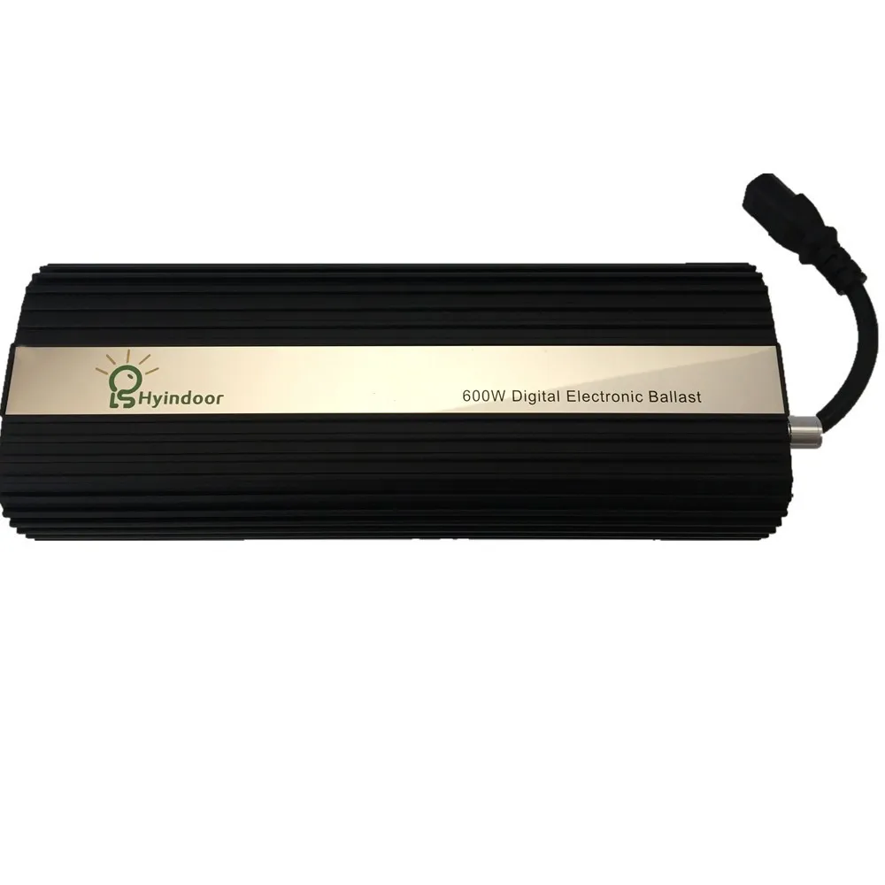 600W 