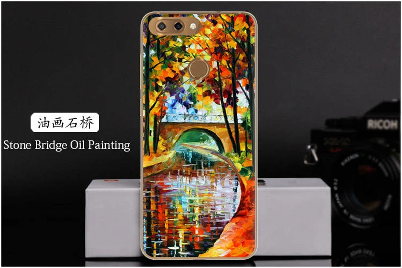 Phone Case For ZTE Blade V9 Vita (23)