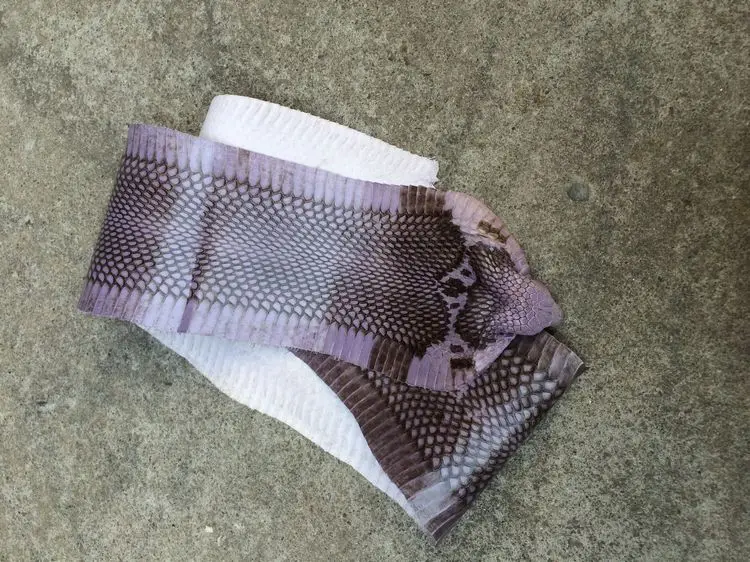 

Artificial rearing Purple Genuine Snake raw skin Leather material