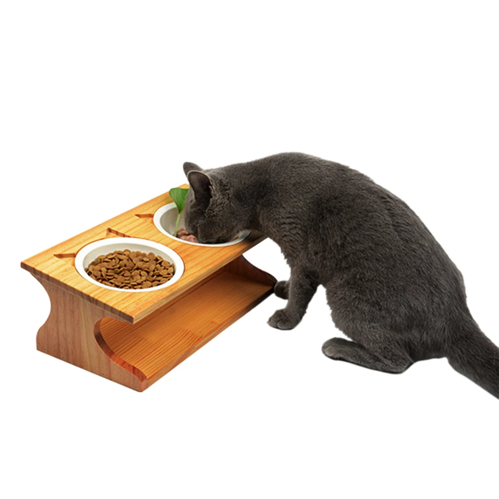 Cheap Suprimentos de alimentação para gatos