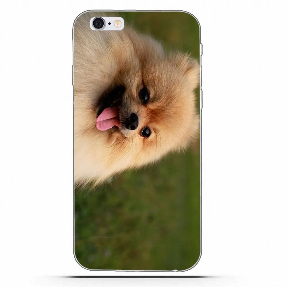 Wexoeq For Apple iPhone X 4 4S 5 5C 5S SE 6 6S 7 8 Plus Soft Capa Pomeranian puppy dog