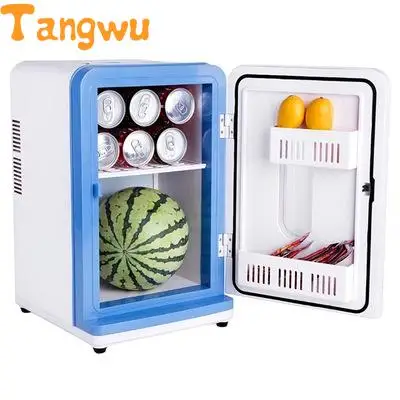 mini fridge for medicine storage