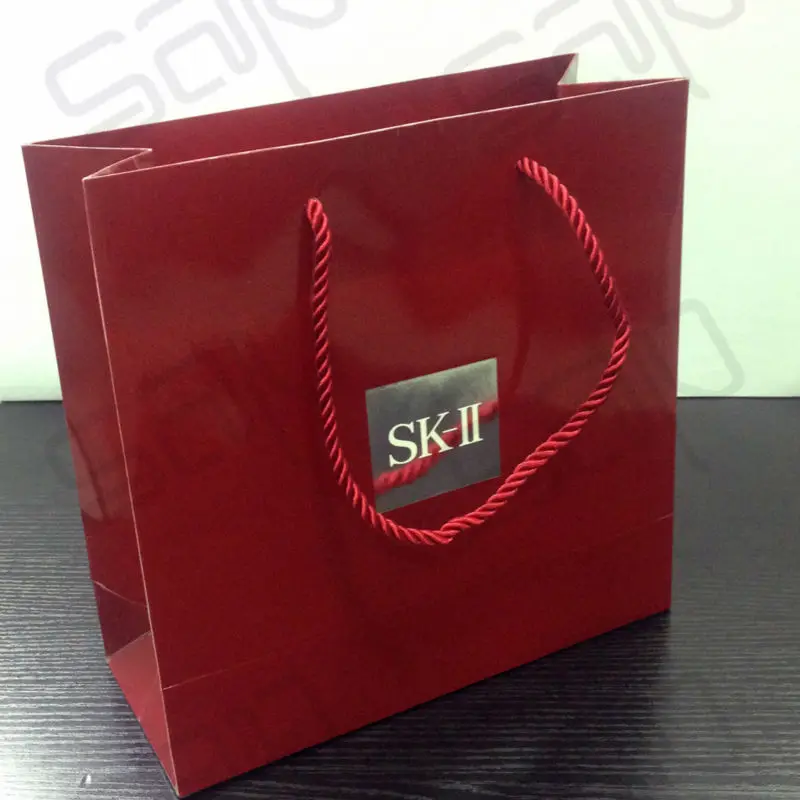 

Professional Customized Logo Printed Packaging Shopping Paper Bag with Brand Name (SAP-CPB004)