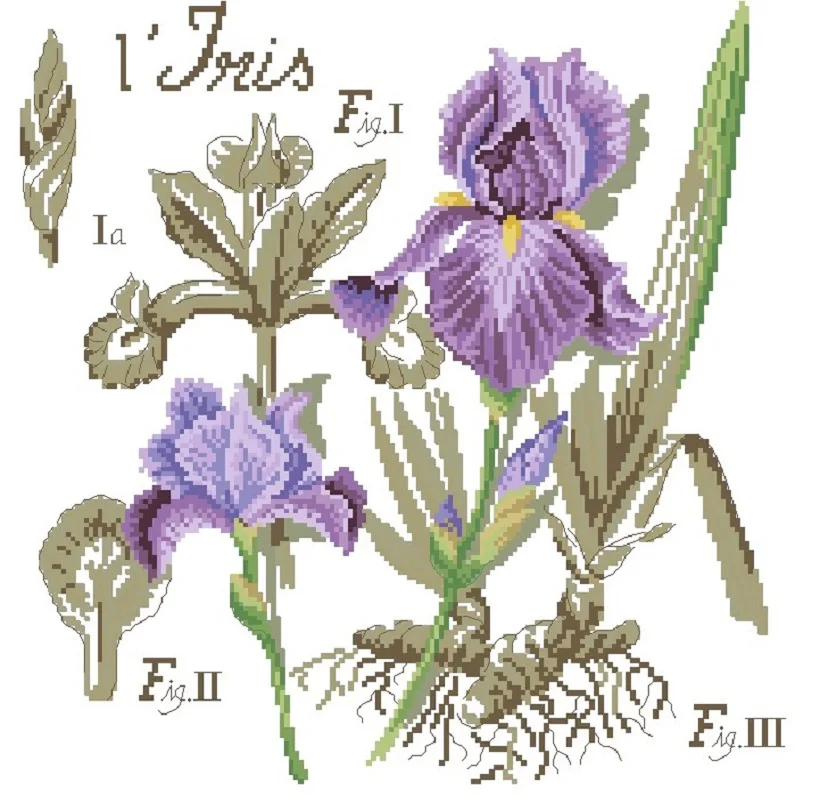 Shadow Series Purple Iris Flower Needlework Embroidery Cross Stitch Kit