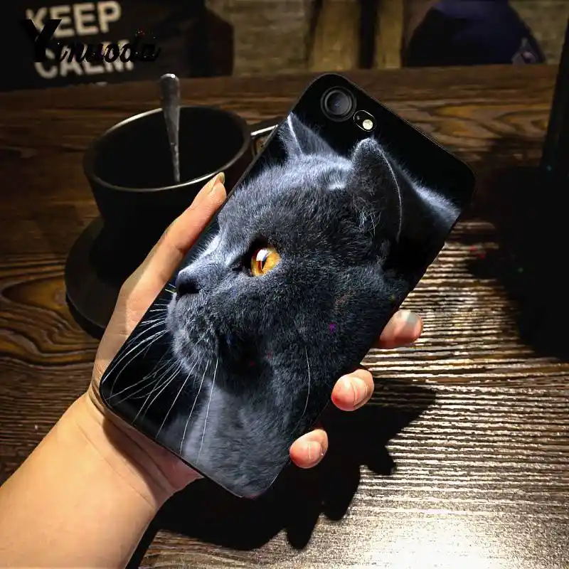 Yinuoda British Shorthair Cat Top Design Phone Case For Iphone 7 6