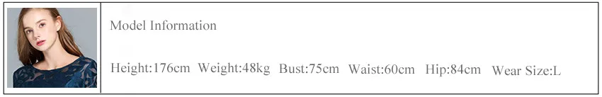 model size