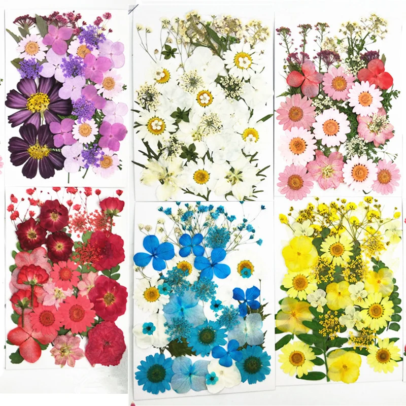 

Traumdeutung Pressed Flowers small Dried Flowers Scrapbooking dry DIY Preserved Flower Decoration Home Mini bloemen flores secas