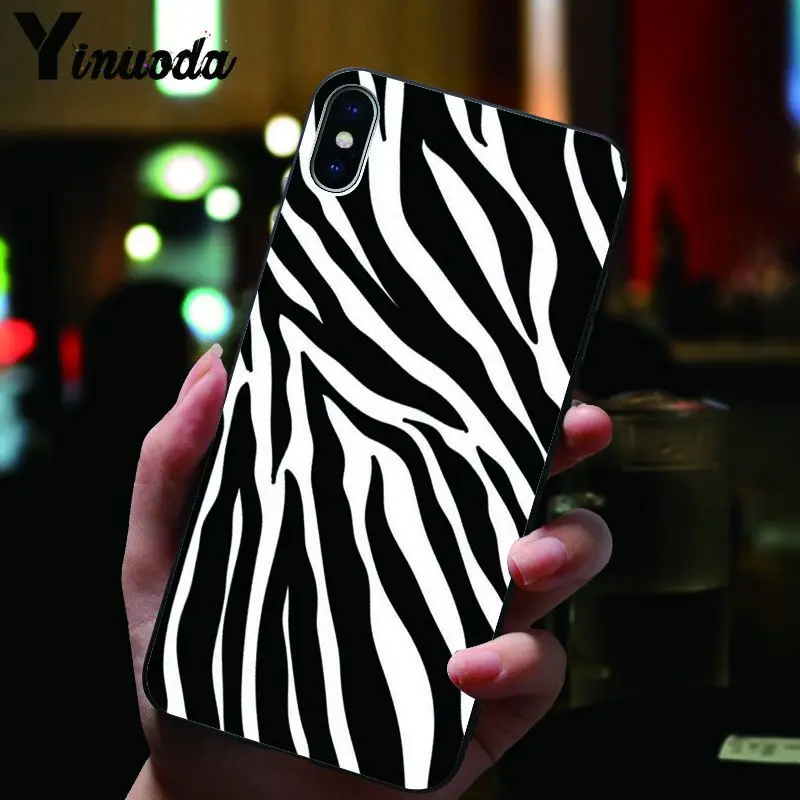 Animal Black white Zebra Stripe