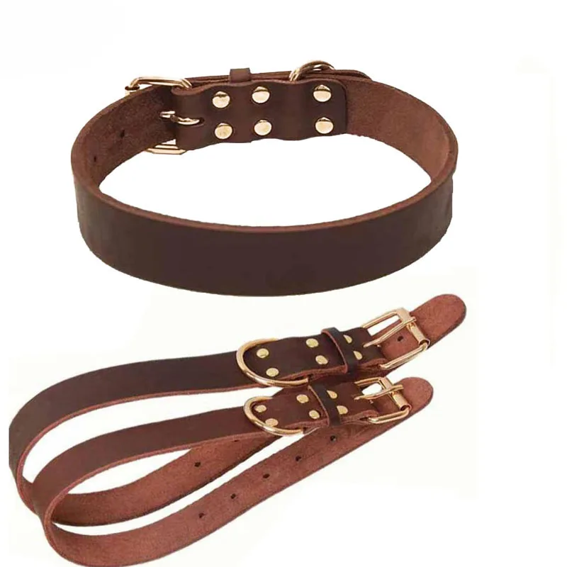 strong dog leash and collar