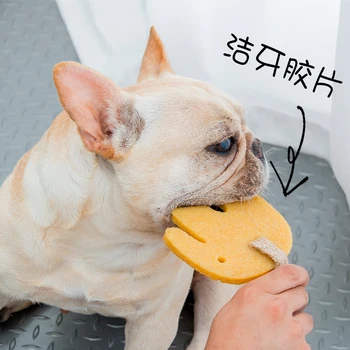 

Expensive By dog A Molar Tooth Toys Gnawing Tooth Film Go Except Bad Breath Will In Doggy Poodle Golden Retriever Training
