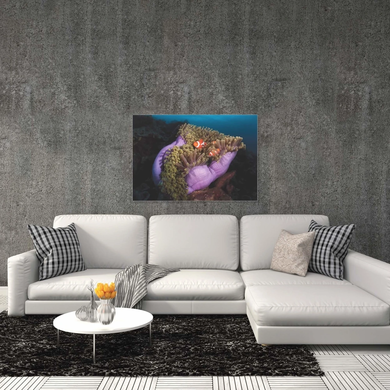 Clown Fish Anemone by Marco Fierli - Coastal Decor on Metal (1)