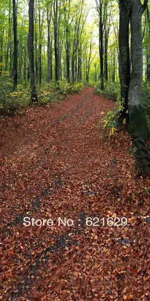 

Natural scenery 10'x20' CP Computer-painted Scenic Photography Background Photo Studio Backdrop MSL-5