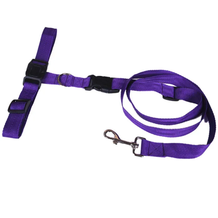 elastic waist dog leash running nylon Dog Pet Products Hauling Cable