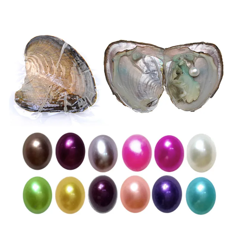 

AAAA Grade Freshwater Cultured Wish Pearl Oyster Freshwater Pearl Wish Pearl Oyster 7-8mm Pearl Mussel 20 Color