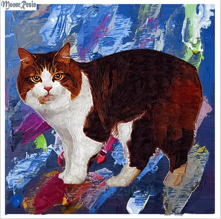 

MOONCRESIN 5D Diamond Mosaic Angry Cat Pattern Sticker Full Square 3D Diamond Embroidery Flower Diy Diamond Painting Stitch Kits