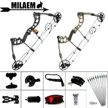 1Set 30-70lbs Compound Bow Carbon Arrow Spine 500 Bow Sight Stabilizer Bow Release Stand IBO 320FPS Outdoor Shooting Accessories topoint archery compound bow package t1 cnc milling bow riser 19 30in draw length 19 70lbs draw weight 320fps ibo