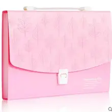 Deli папка A4 12 сеток портативный многослойный бумажный пакет информация посылка расширяющийся кошелек 33*24*3,6 см папка для хранения файлов