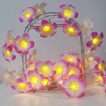 

Multiple frangipani flower led string 5meter 40leds for wedding table decoration,New year flower light string, Home room decor.