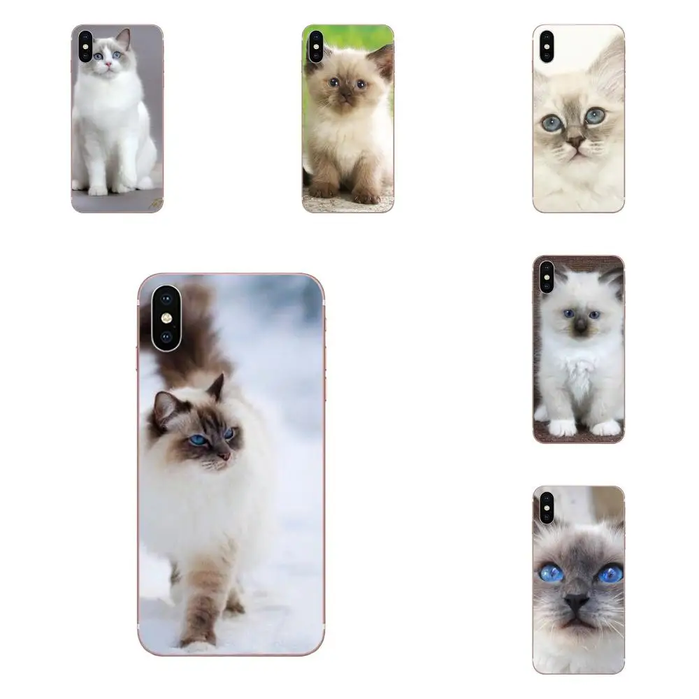 

Lovely Ragdoll Kitten Cat Pet TPU Design For Galaxy J1 J2 J3 J330 J4 J5 J6 J7 J730 J8 2015 2016 2017 2018 mini Pro
