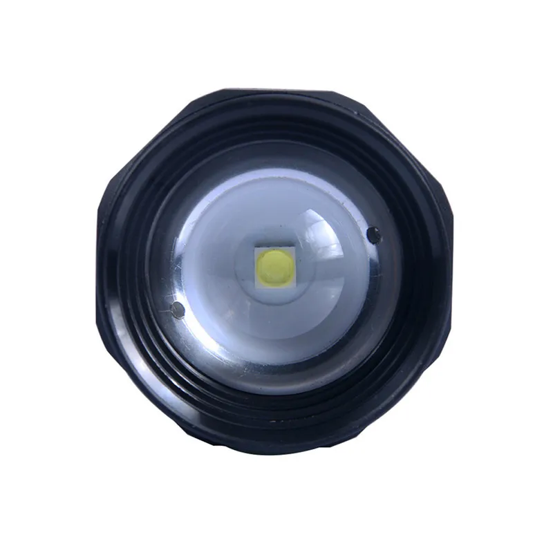 9 - LLZ90309724_2019030904071390113