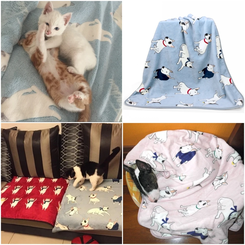 cat blankets for cats
