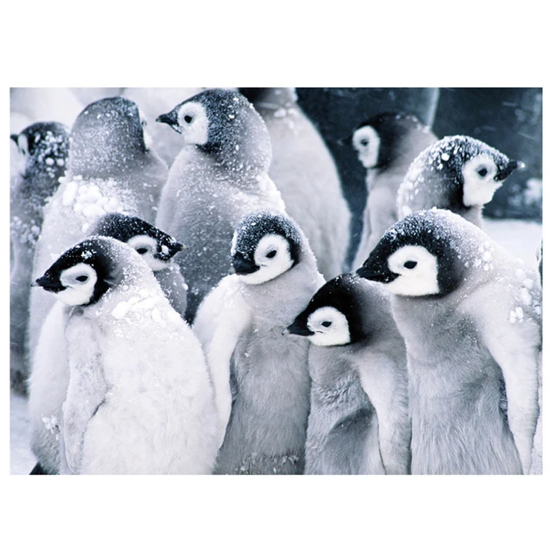 5Diy Diamond Painting Animal Penguin Paintings By number Rhinestones Mosaic Wedding Decoration Full Square RoundZP-2941 | Дом и сад