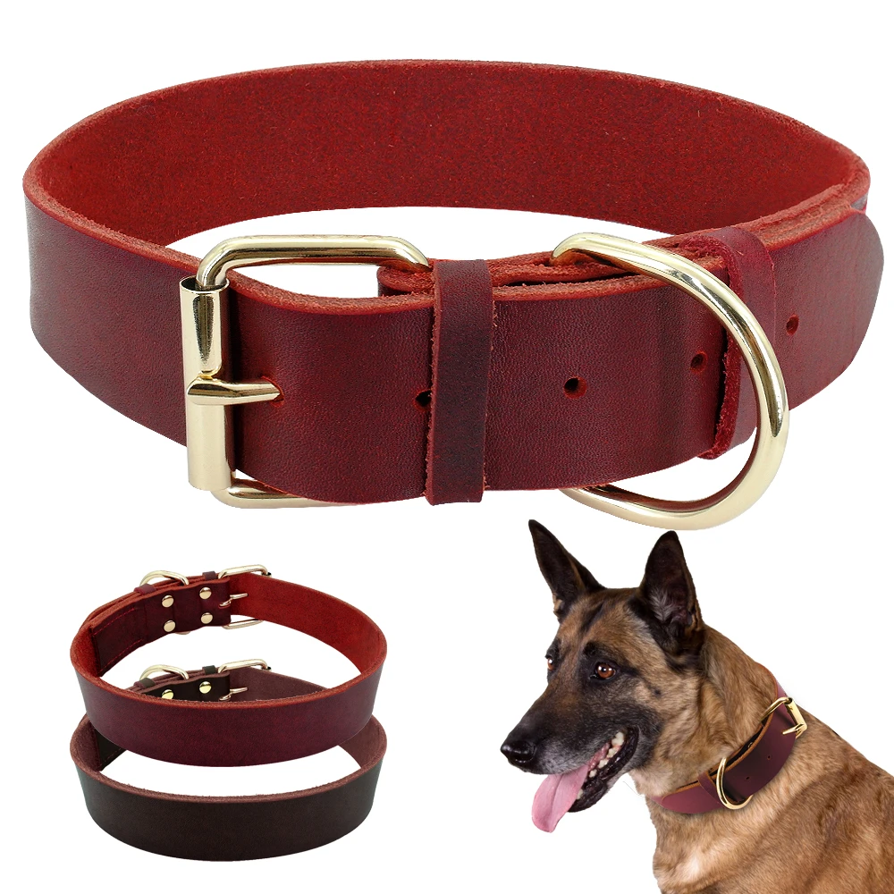 dog collar for german shepherd puppy