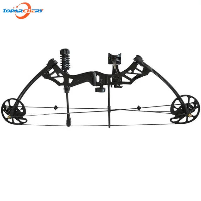 Cheap Black Aluminum Alloy Compound Bow with 35-70lbs Draw Weight Archery Hunting Stable Bow for Right Hand Practice Target Shot