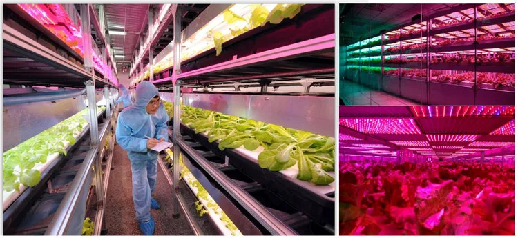 HTB1tHsam0zJ8KJjSspkq6zF7VXag