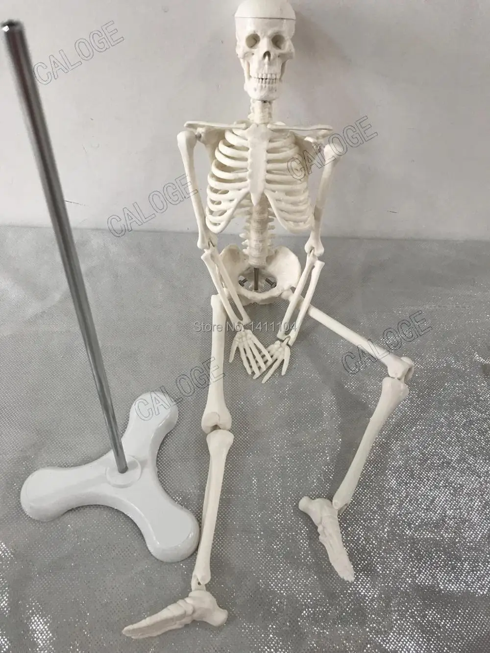 

Special deals are on sale&45cm small bone model, human skeletal model, skeleton model, art sketch, gift, doll.human model