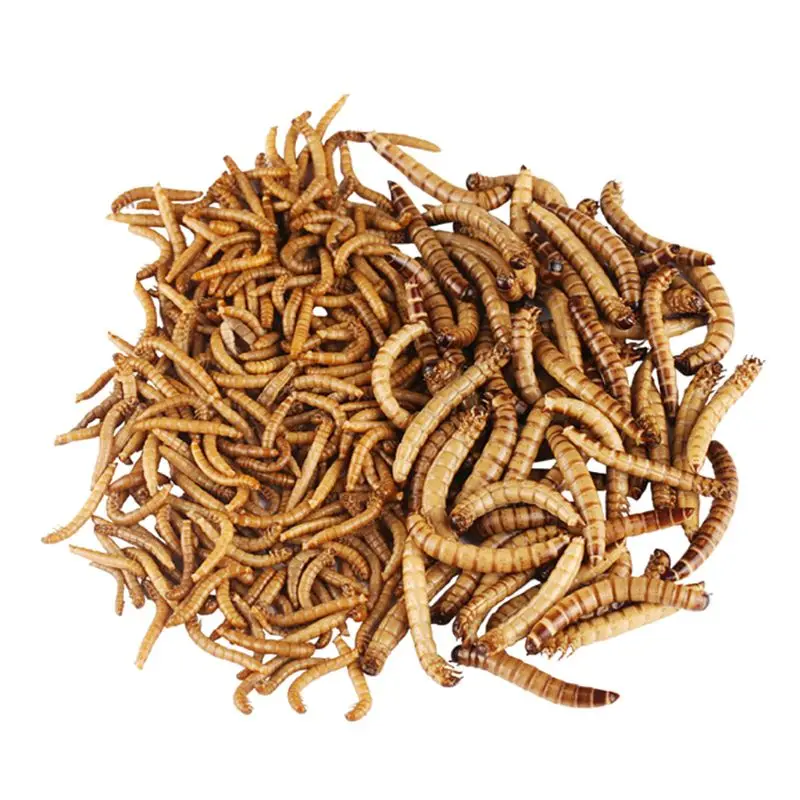 140 г натуральный сушеный Mealworm корм для кормления домашних животных рептилий кур дикая садовая птица аквариум червь