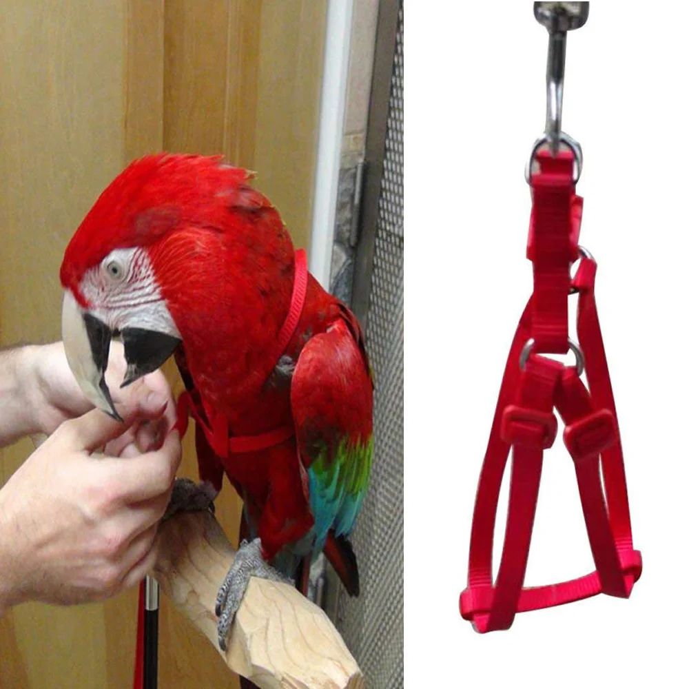 Pet Parrot Traction Strap Outdoor Rope Bird Harness for Cockatiel