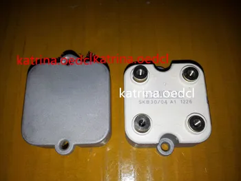 

SKB30/04 A1 module in stock