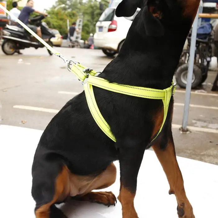 Classic Solid Color Dog Leash Puppy Dogs Reflective Nylon Leash Outdoor Walking Running-Drop