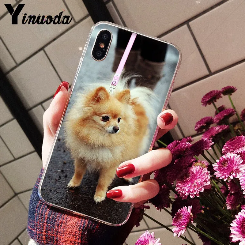 Yinuoda كلب صغير طويل الشعر الكلاب الكلب TPU لينة سيليكون غطاء إطار هاتف محمول ل أبل فون 8 7 6 6 S زائد X XS ماكس 5 5 S SE XR الهواتف المحمولة Yinuoda كلب صغير طويل الشعر الكلاب الكلب TPU لينة سيليكون غطاء إطار هاتف محمول ل أبل فون 8 7 6 6 S زائد X XS ماكس 5 5 S SE XR الهواتف المحمولة