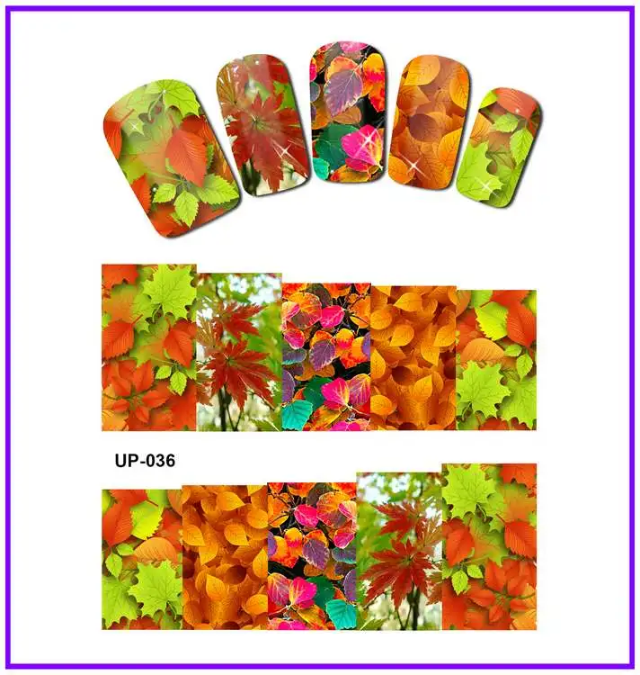 UP-036