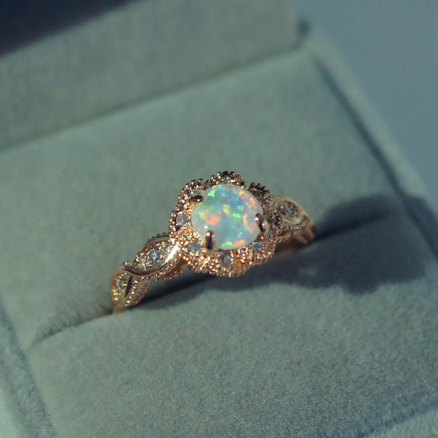 主图.jpg