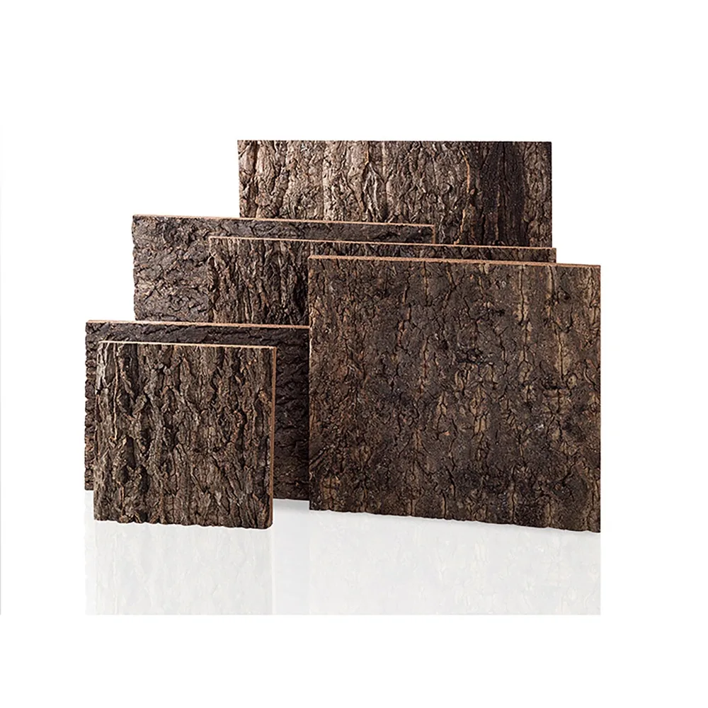 Natural Tree Bark Background For Gecko Lizard Snake Tortoise