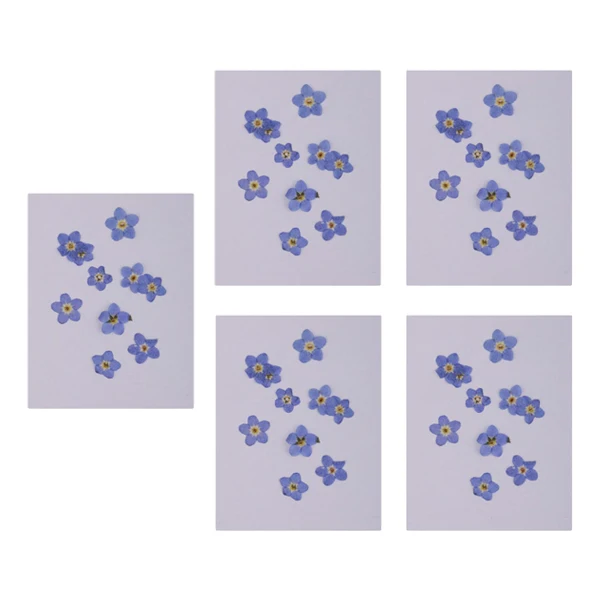 

50 Pieces Mini Real Dried Flower Forget-me-not for DIY Resin Casting Ornament Candle Making Decoration Blue
